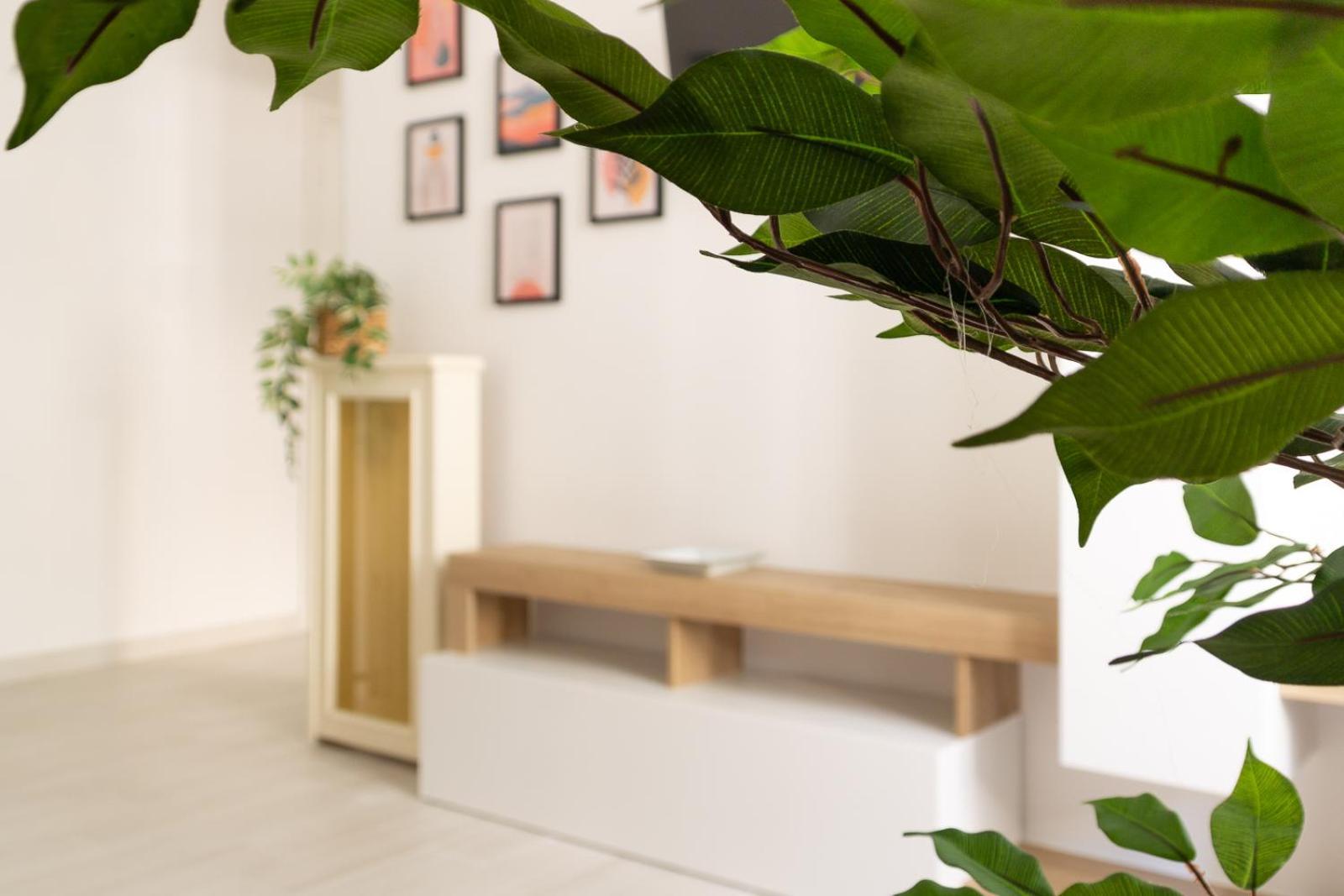 Nextovatican Apartment روما المظهر الخارجي الصورة